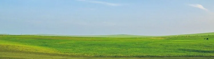 buying land with no money