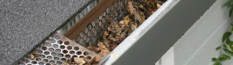 Home Maintenance Tasks You Should Complete This Fall In Houston