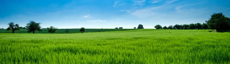 What Investors Should Know About Sub-Dividing Land in Houston